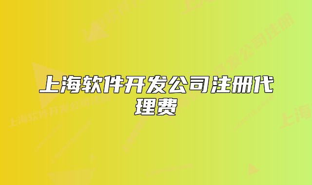 上海软件开发公司注册代理费