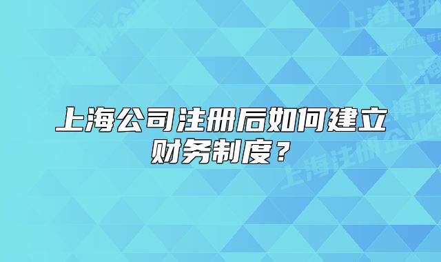 上海公司注册后如何建立财务制度?