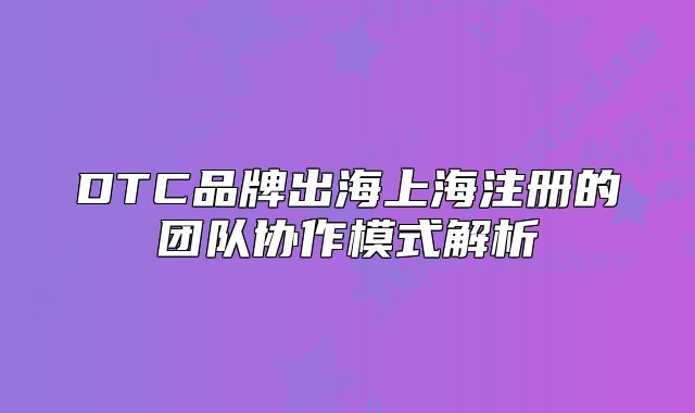 DTC品牌出海上海注册的团队协作模式解析