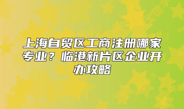 上海自贸区工商注册哪家专业?临港新片区企业开办攻略