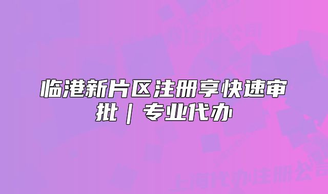 临港新片区注册享快速审批|专业代办