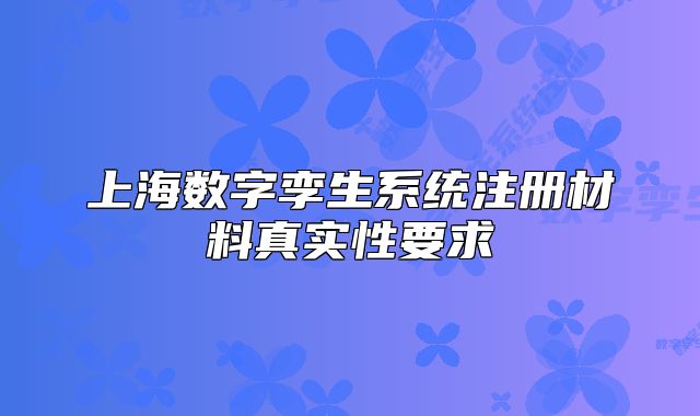上海数字孪生系统注册材料真实性要求