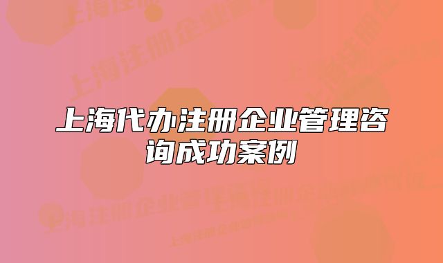 上海代办注册企业管理咨询成功案例
