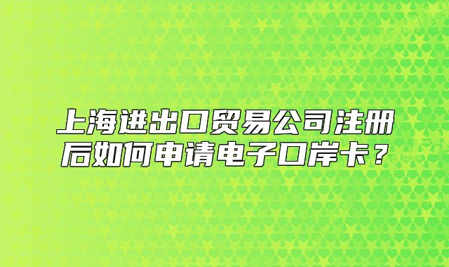 上海进出口贸易公司注册后如何申请电子口岸卡?