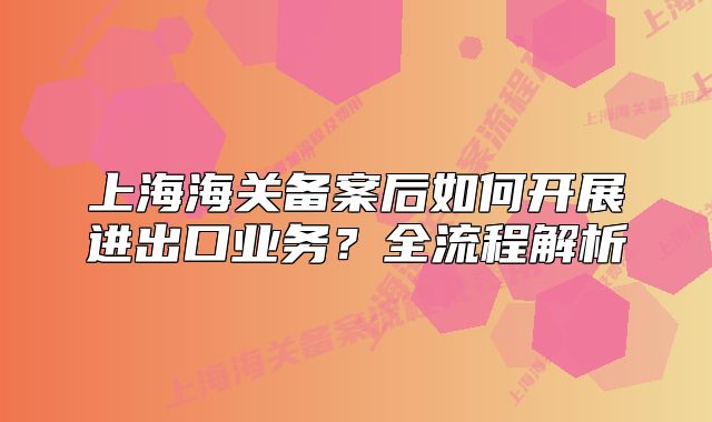 上海海关备案后如何开展进出口业务？全流程解析