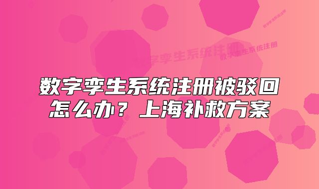 数字孪生系统注册被驳回怎么办?上海补救方案