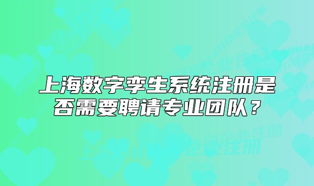 上海数字孪生系统注册是否需要聘请专业团队？