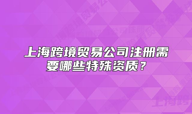 上海跨境贸易公司注册需要哪些特殊资质?