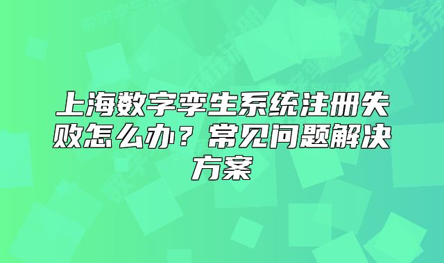 上海数字孪生系统注册失败怎么办?常见问题解决方案