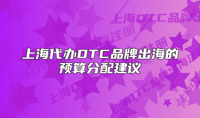 上海代办DTC品牌出海的预算分配建议