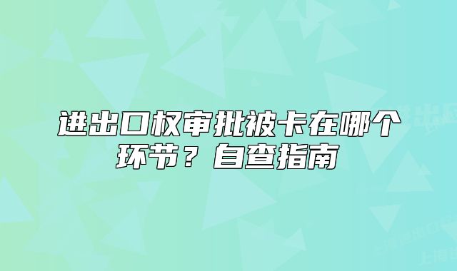 进出口权审批被卡在哪个环节?自查指南
