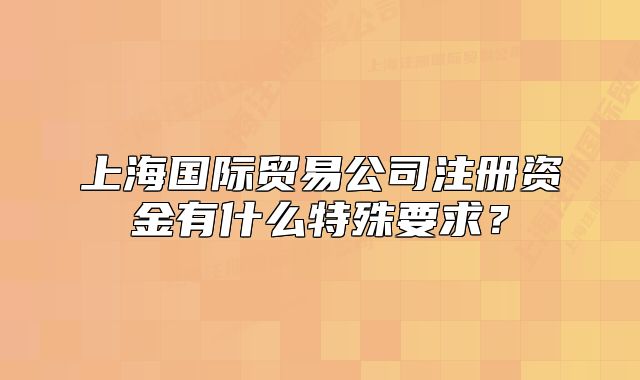 上海国际贸易公司注册资金有什么特殊要求?