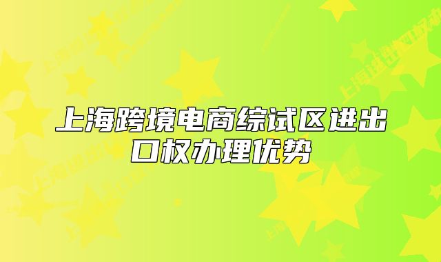 上海跨境电商综试区进出口权办理优势