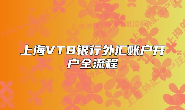 上海VTB银行外汇账户开户全流程