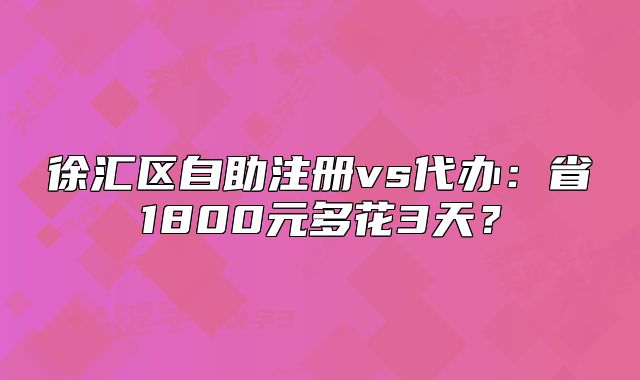 徐汇区自助注册vs代办:省1800元多花3天?