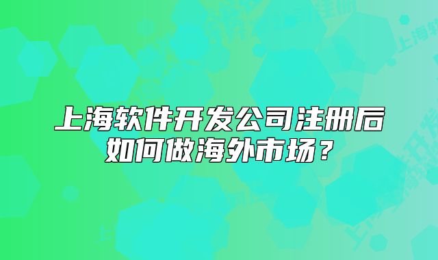 上海软件开发公司注册后如何做海外市场？