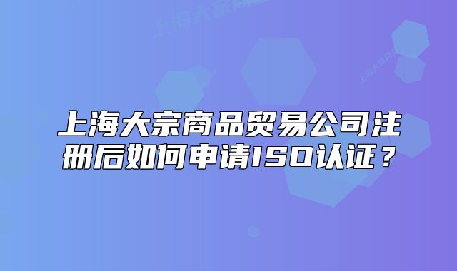 上海大宗商品贸易公司注册后如何申请ISO认证?