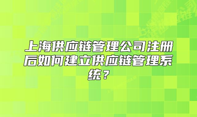 上海供应链管理公司注册后如何建立供应链管理系统?
