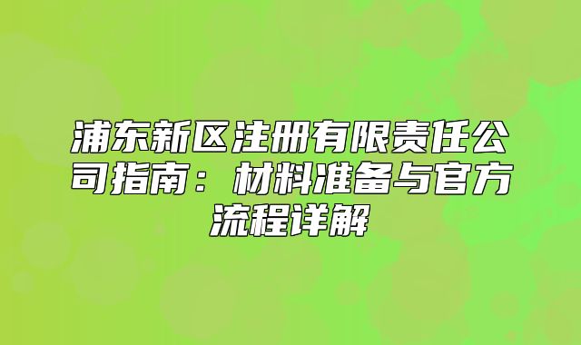 浦东新区注册有限责任公司指南：材料准备与官方流程详解