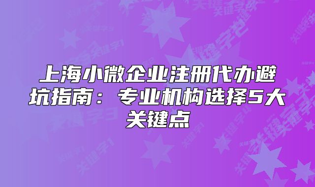 上海小微企业注册代办避坑指南:专业机构选择5大关键点
