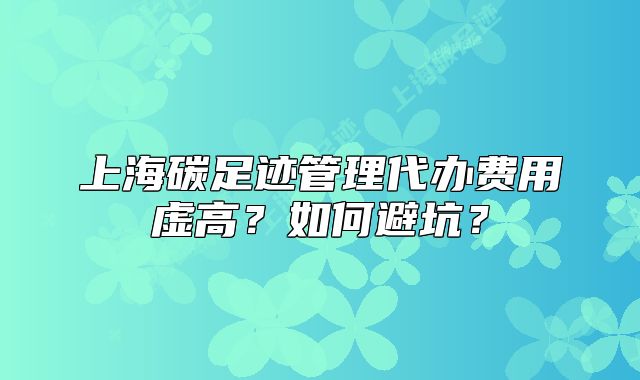 上海碳足迹管理代办费用虚高?如何避坑?