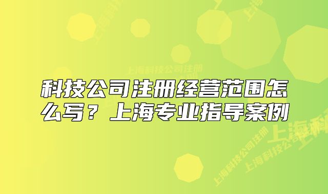 科技公司注册经营范围怎么写?上海专业指导案例