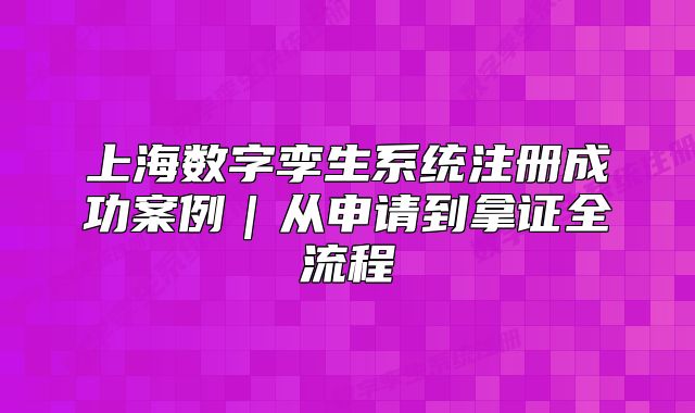 上海数字孪生系统注册成功案例｜从申请到拿证全流程