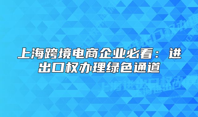 上海跨境电商企业必看：进出口权办理绿色通道