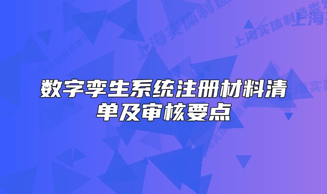 数字孪生系统注册材料清单及审核要点