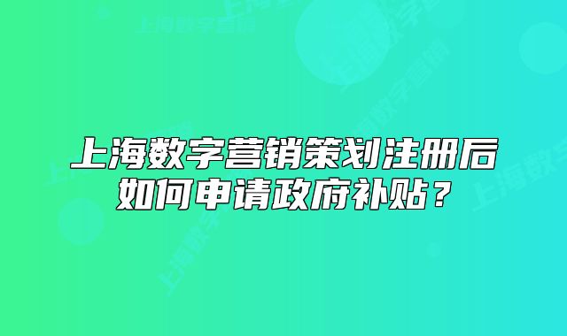 上海数字营销策划注册后如何申请政府补贴?