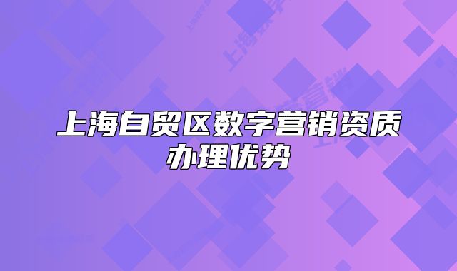 上海自贸区数字营销资质办理优势