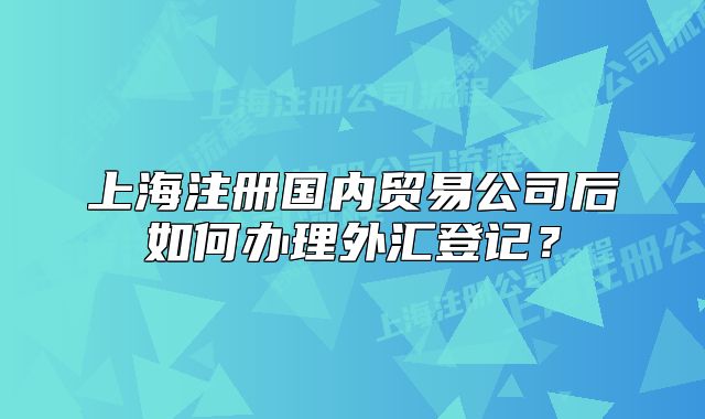 上海注册国内贸易公司后如何办理外汇登记？