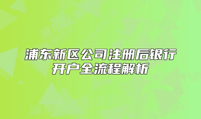 浦东新区公司注册后银行开户全流程解析