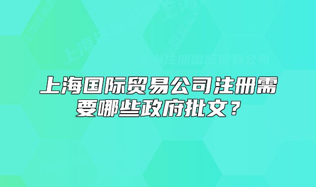 上海国际贸易公司注册需要哪些政府批文?
