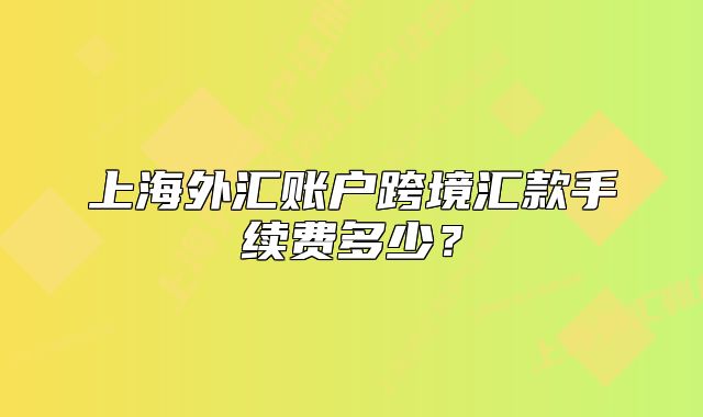 上海外汇账户跨境汇款手续费多少?