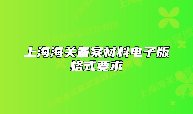 上海海关备案材料电子版格式要求