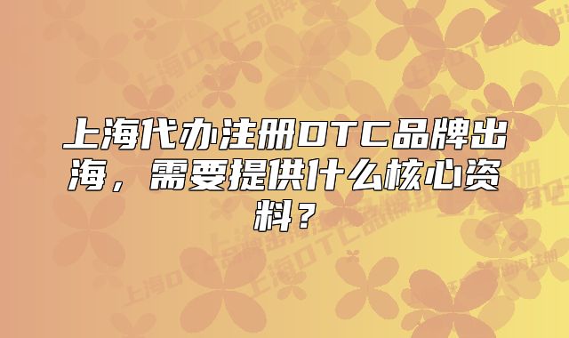 上海代办注册DTC品牌出海,需要提供什么核心资料?