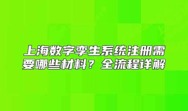 上海数字孪生系统注册需要哪些材料?全流程详解