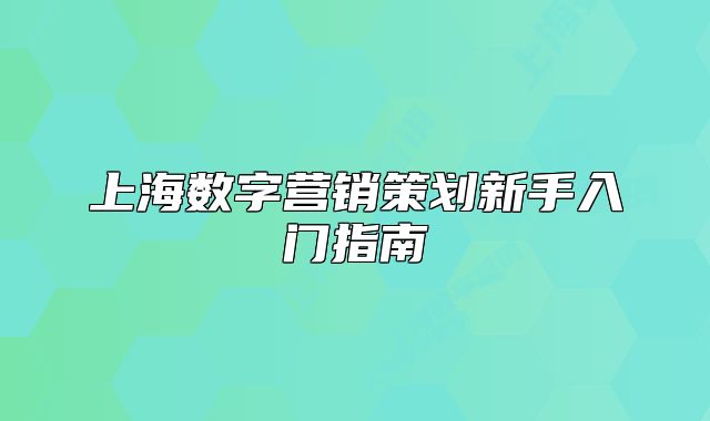 上海数字营销策划新手入门指南