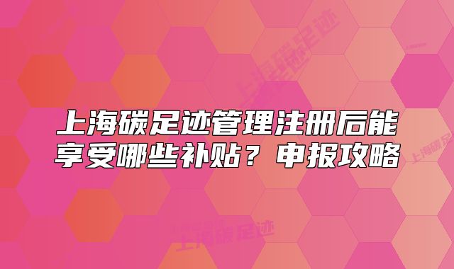 上海碳足迹管理注册后能享受哪些补贴?申报攻略