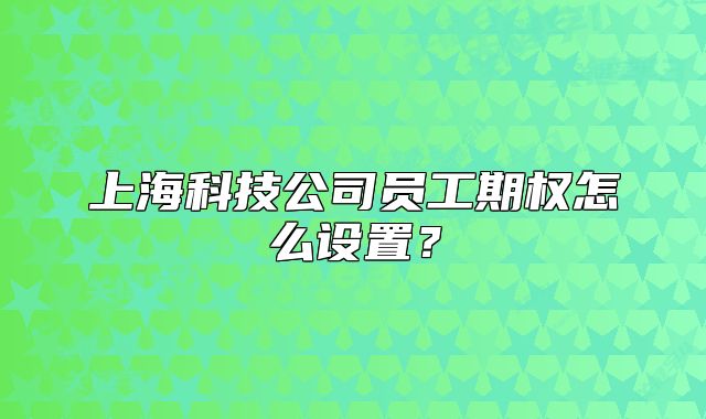 上海科技公司员工期权怎么设置?