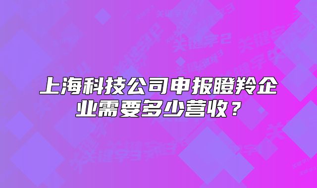 上海科技公司申报瞪羚企业需要多少营收?